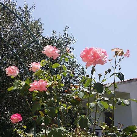 קאבוס Villa Helena מראה חיצוני תמונה