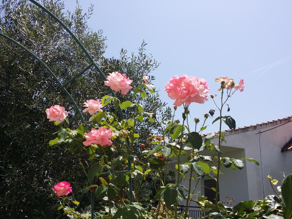 קאבוס Villa Helena מראה חיצוני תמונה