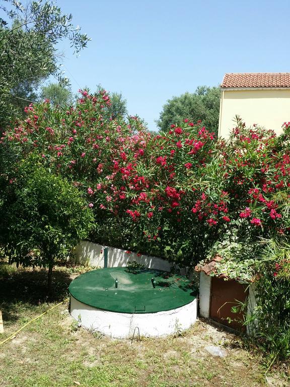 קאבוס Villa Helena מראה חיצוני תמונה